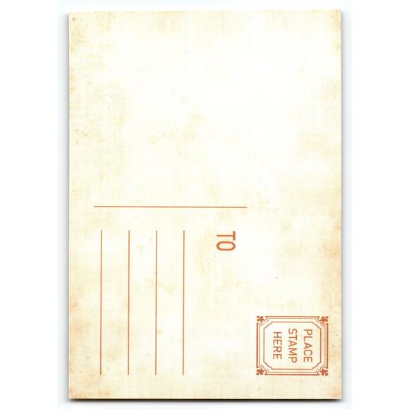 Vintage Christmas Tree Postcard Blue Gift Boxes Lithograph 5.5x4" - Picture 2 of 2